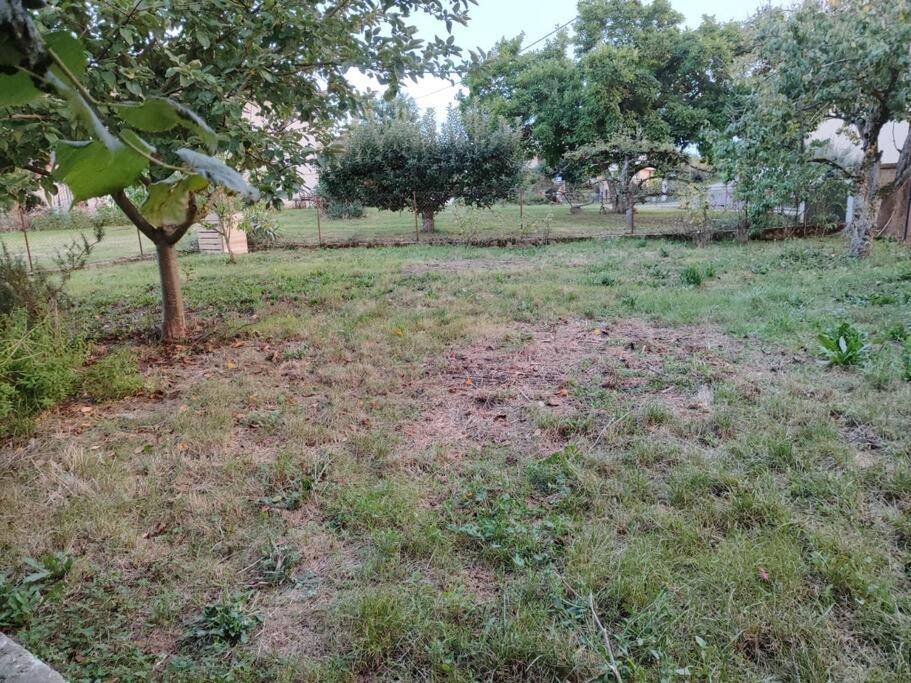 Campagne-Jolie Maison Avec Jardin- Proche Dole Chevigny  Ngoại thất bức ảnh